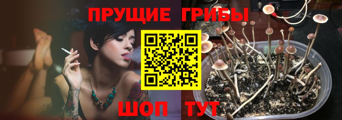 Галлюциногенные грибы Psilocybine cubensis  Вход с VPN  Топки 