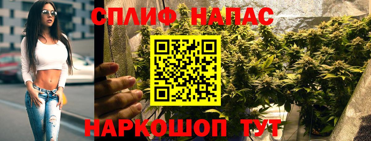 Марихуана OG Kush Топки
